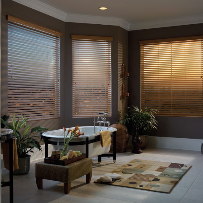 Blinds-5