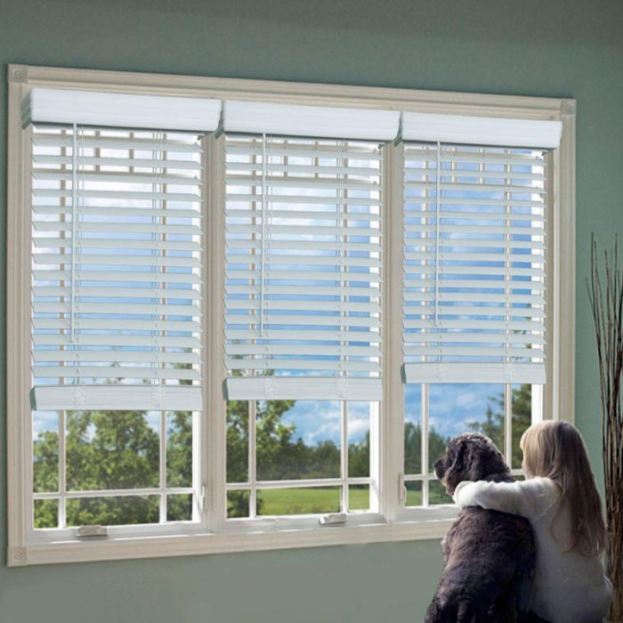 Blinds-6